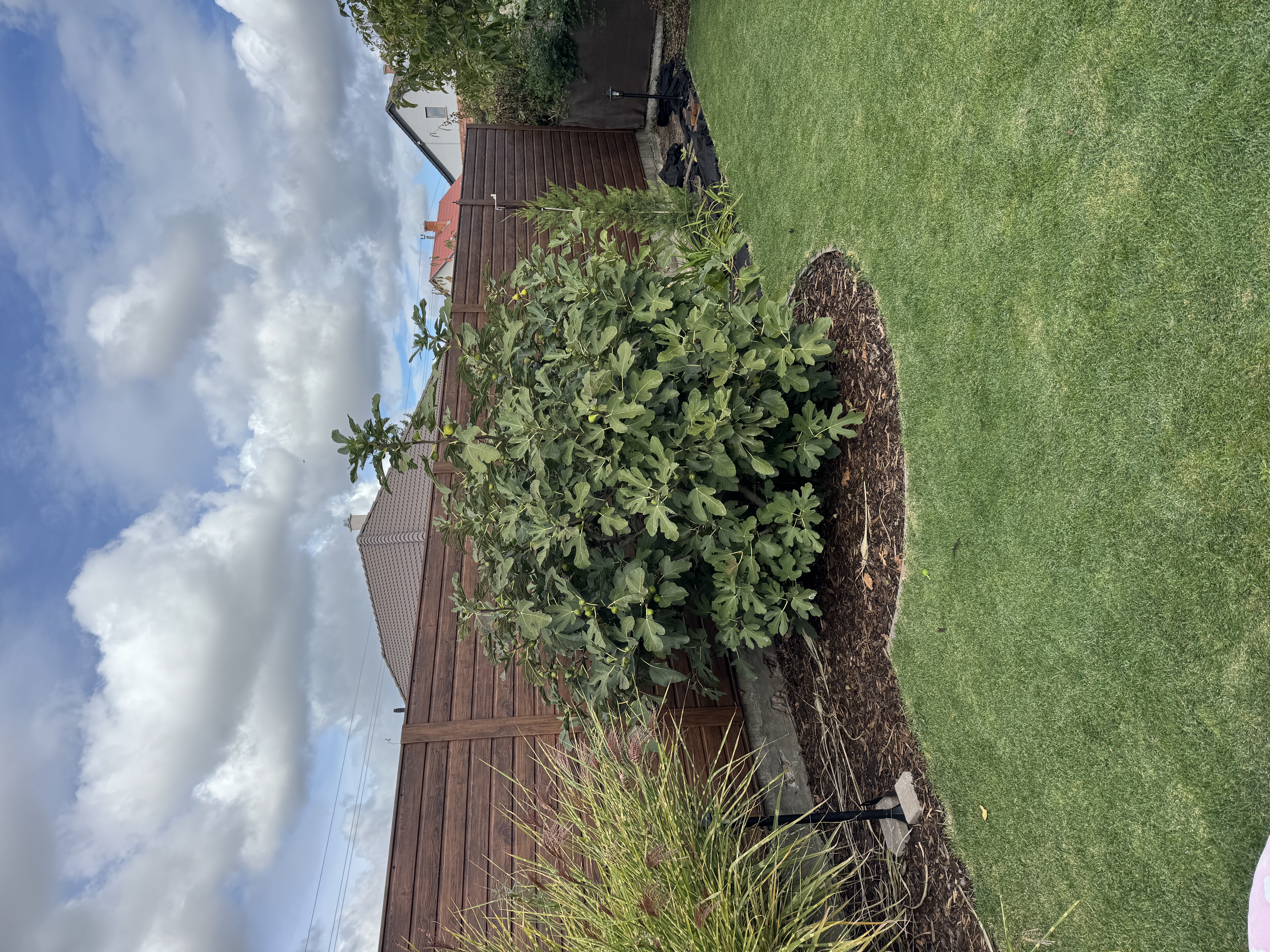 Bp XVI ker lemez pálcából kerítés építés 5